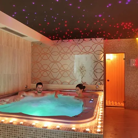 阿维尼加尼酒店 酒店