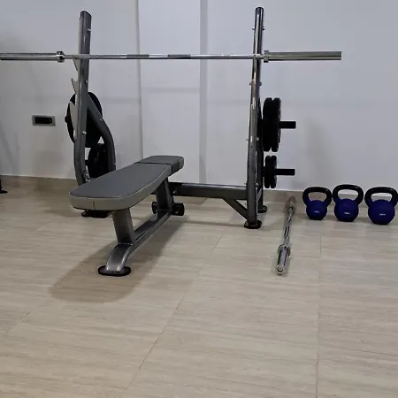 阿维尼加尼酒店 酒店