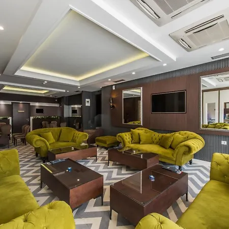 阿维尼加尼酒店 酒店 Čačak